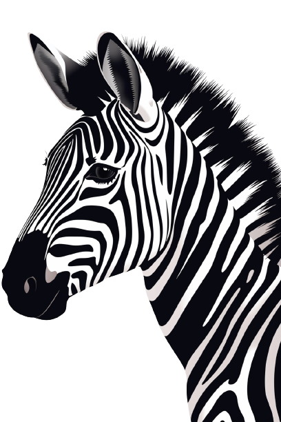 zebrasage.com